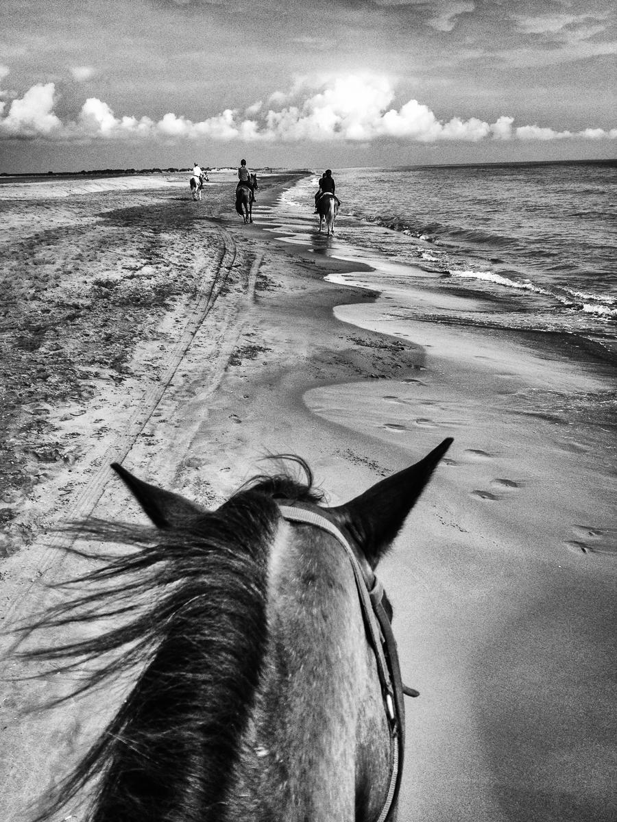 Riding Leustic Along the Mediterranean Sea, Camargue, France