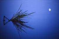 © All photographs copyright Timothy Floyd