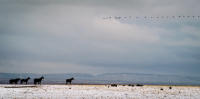 © All photographs copyright Timothy Floyd