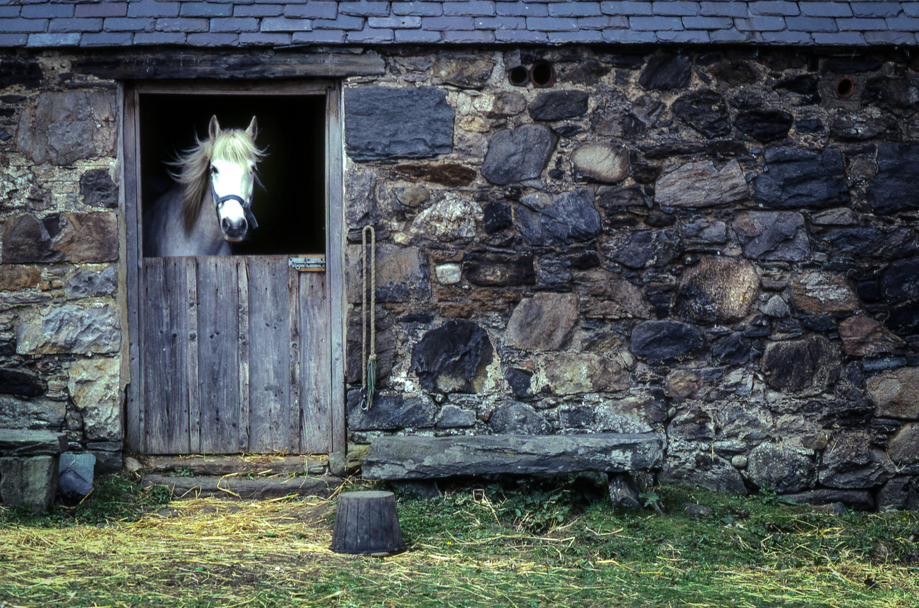 Scotland, near Loch Ness