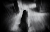 © All photographs copyright Timothy Floyd