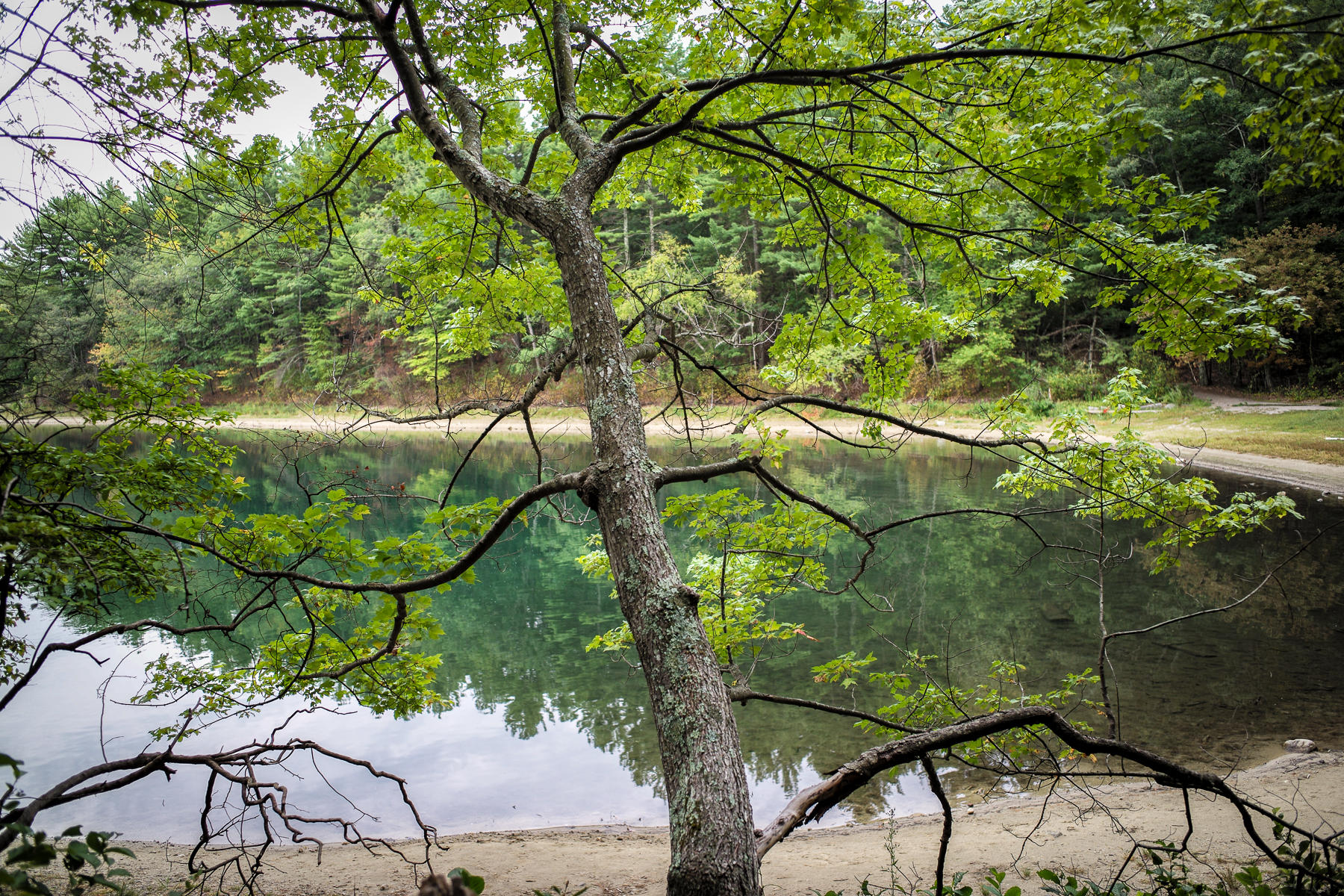 Walden Pond, Massachusetts