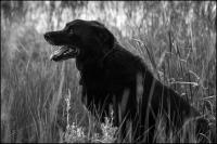 © All photographs copyright Timothy Floyd