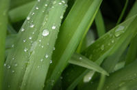 © All photographs copyright Timothy Floyd