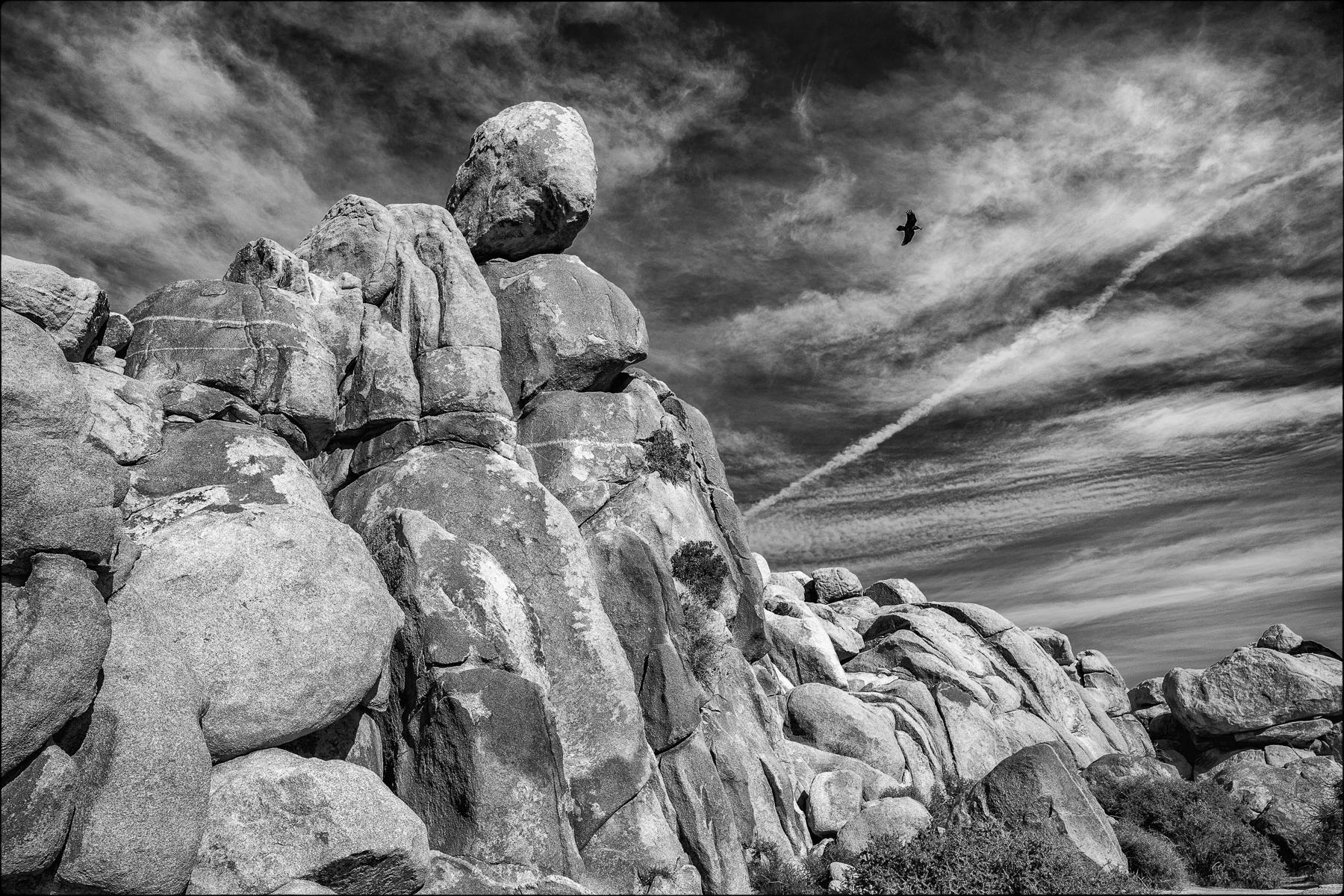 Joshua Tree National Park