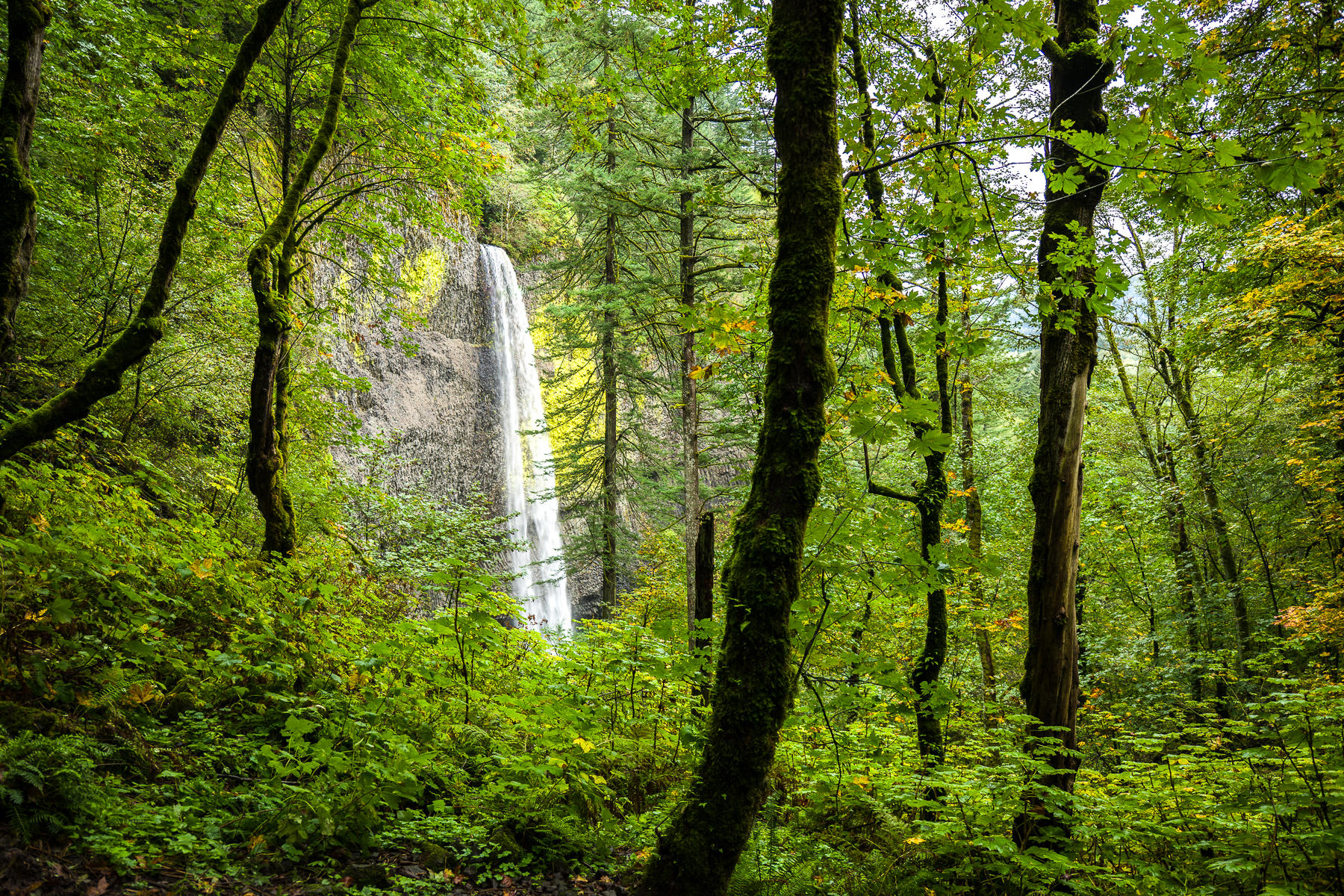 Latourell Falls, Oregon