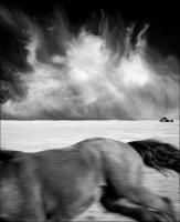 © All photographs copyright Timothy Floyd