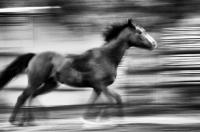 © All photographs copyright Timothy Floyd