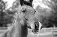 © All photographs copyright Timothy Floyd