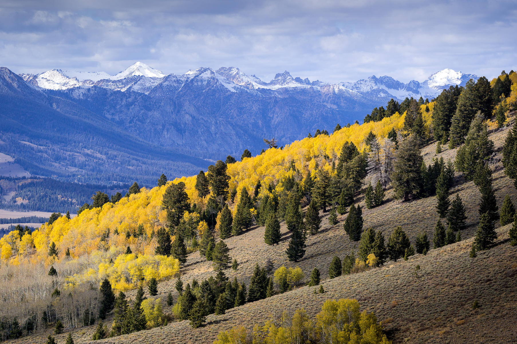 Aspen and Sawtooth Range, Idaho