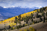 © All photographs copyright Timothy Floyd