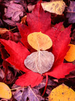 © All photographs copyright Timothy Floyd