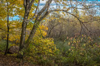 © All photographs copyright Timothy Floyd