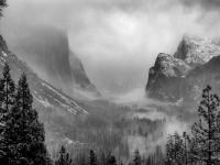 © All photographs copyright Timothy Floyd