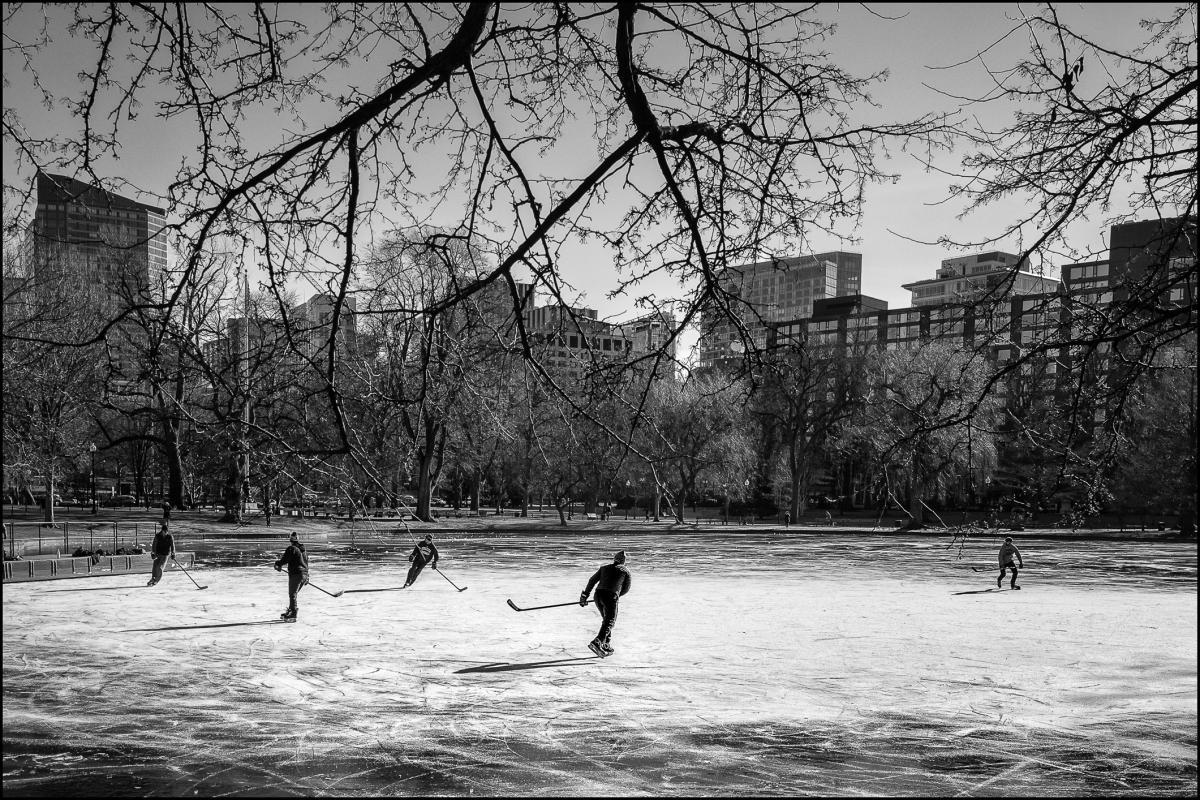 Boston Commons