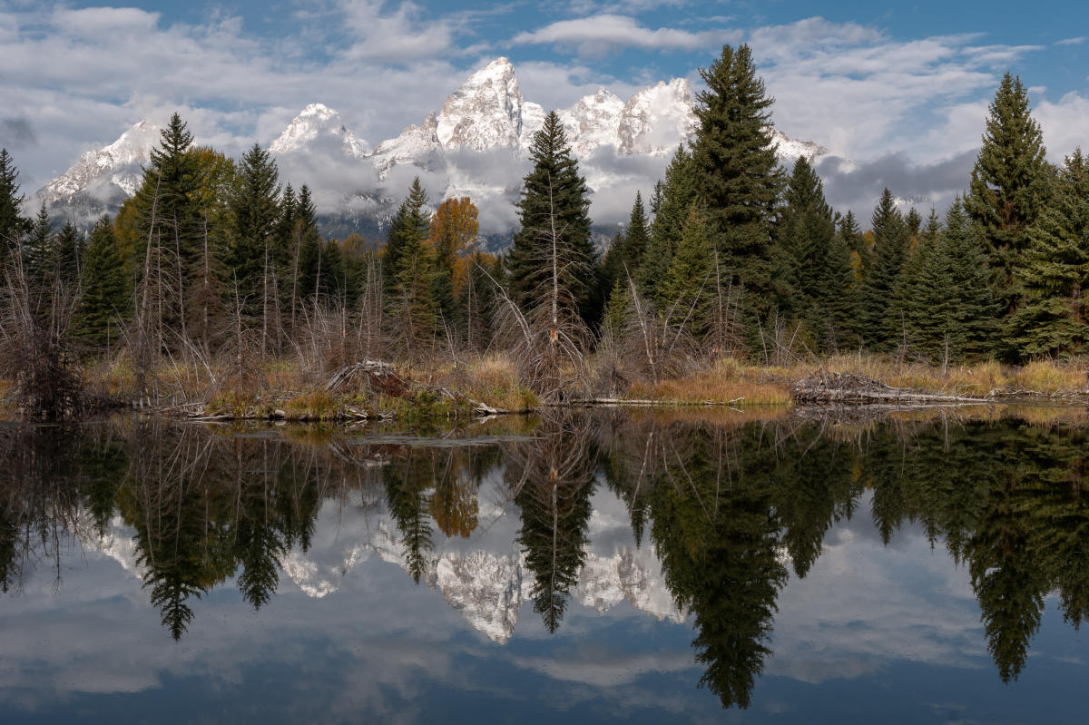 Tetons and Beaver Pond