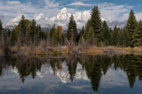 © All photographs copyright Timothy Floyd