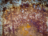 © All photographs copyright Timothy Floyd