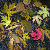 © All photographs copyright Timothy Floyd