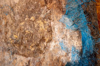 © All photographs copyright Timothy Floyd