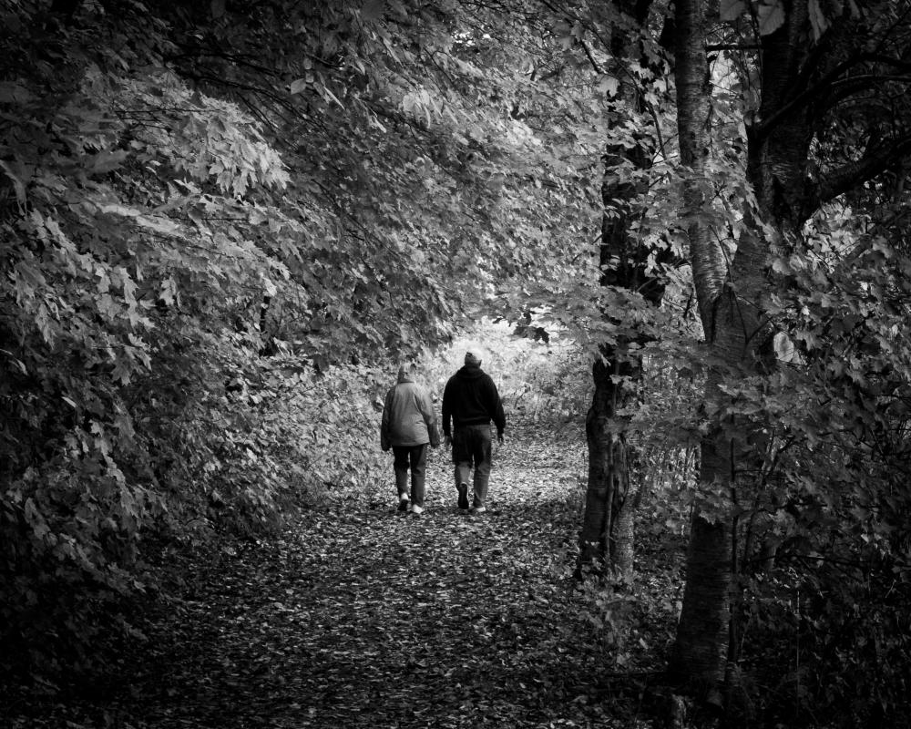 A full year after recovering from physical and psychological wounds sustained while photographing with Marines in the Pacific during World War II, W. Eugene Smith made his first photograph, "A Walk to Paradise Garden."  University of Minnesota Arboretum.