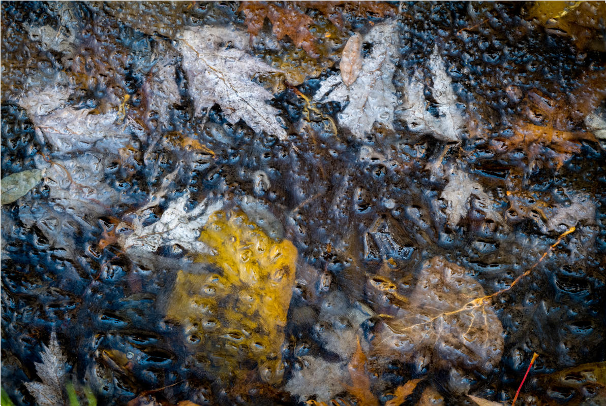 The vision remains the same but deepens...