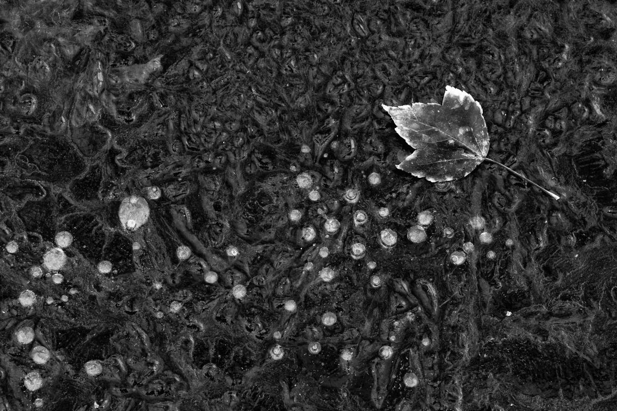 ...and matures as I get older.