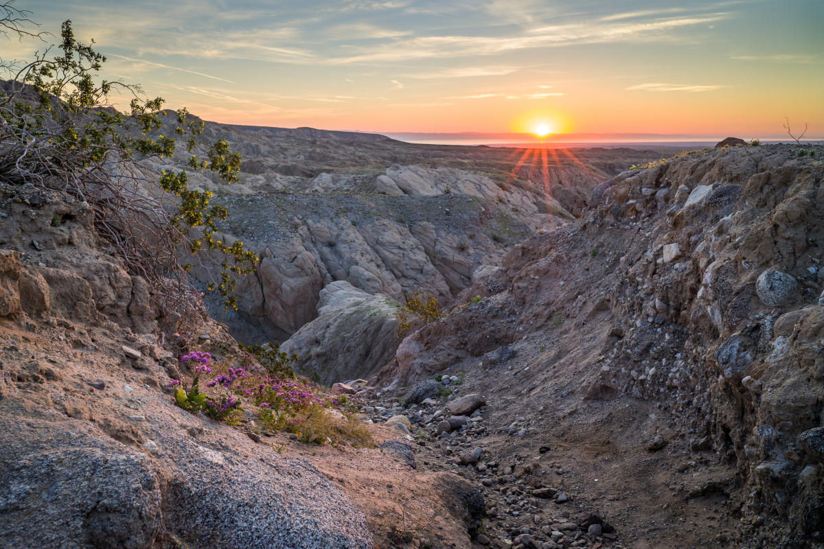 I enjoy landscape photography but stopped doing it around the turn of the century.  About 15 years later I started to take it up again, but I don't like where it has gone, what it has become.  In many ways I find that it indirectly leads to habitat destruction rather than conservation.  However, when I see a beautiful scene, such as the sun rising over the Salton Sea, I can't help but photograph it.  This image became a wraparound cover of the Dutch magazine, Pentagram.