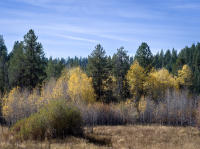 © All photographs copyright Timothy Floyd