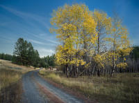 © All photographs copyright Timothy Floyd