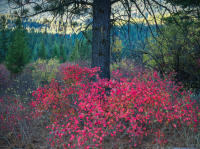 © All photographs copyright Timothy Floyd