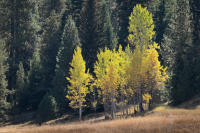 © All photographs copyright Timothy Floyd