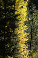 © All photographs copyright Timothy Floyd