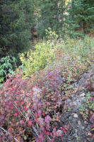 © All photographs copyright Timothy Floyd