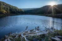 © All photographs copyright Timothy Floyd