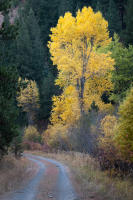 © All photographs copyright Timothy Floyd