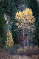 © All photographs copyright Timothy Floyd