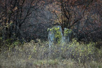 © All photographs copyright Timothy Floyd