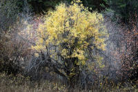 © All photographs copyright Timothy Floyd