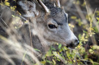 © All photographs copyright Timothy Floyd