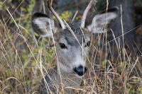 © All photographs copyright Timothy Floyd