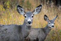 © All photographs copyright Timothy Floyd