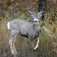 © All photographs copyright Timothy Floyd