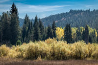 © All photographs copyright Timothy Floyd