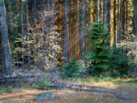 © All photographs copyright Timothy Floyd