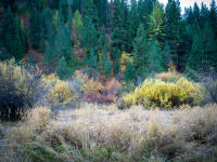 © All photographs copyright Timothy Floyd