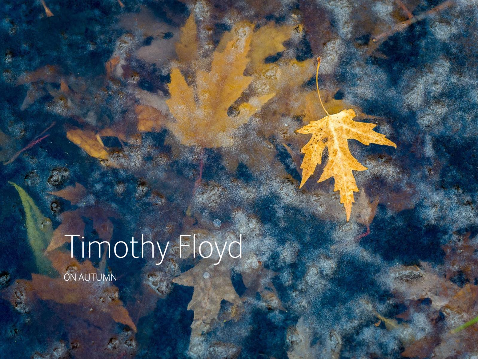 On Landscape Magazine