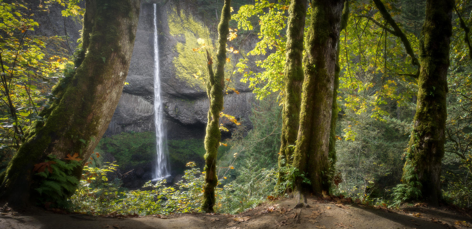 Latourell Falls, Oregon