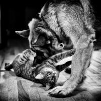 © All photographs copyright Timothy Floyd